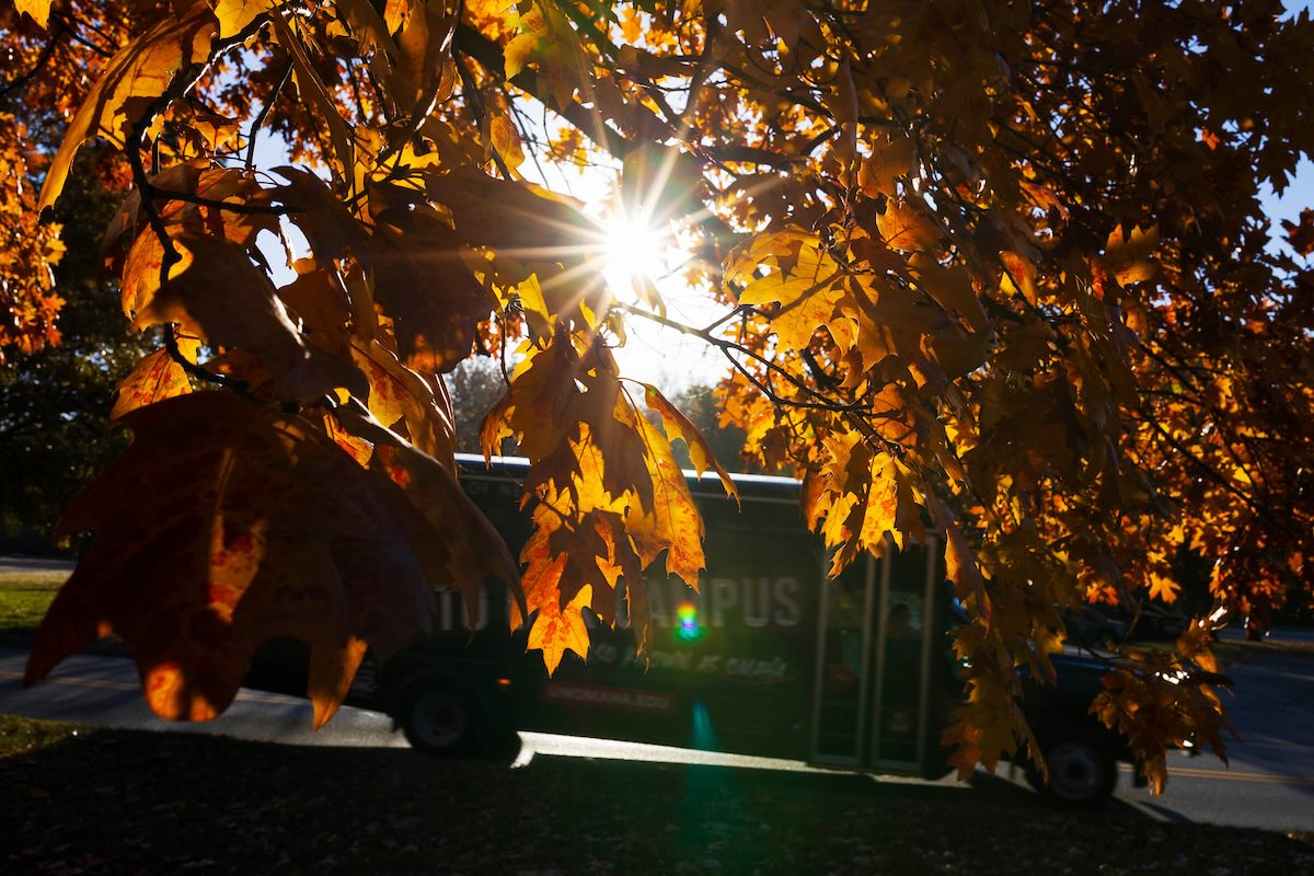 A campus shuttle photographed through fall leaves as it travels through Elmwood Park.