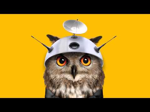 an owl wearing a metal hat.