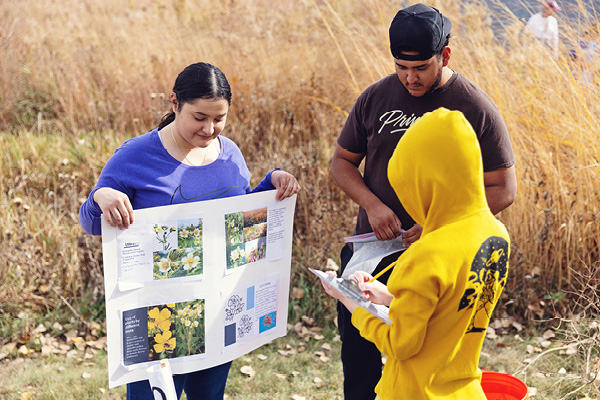 A faculty member and students review a nature display outdoors during a service learning activity.