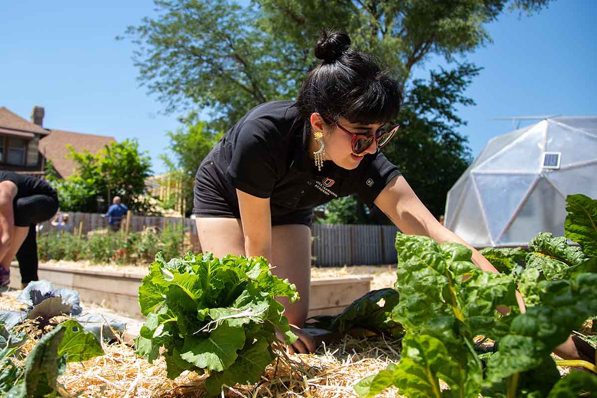 uno students work in a garden.