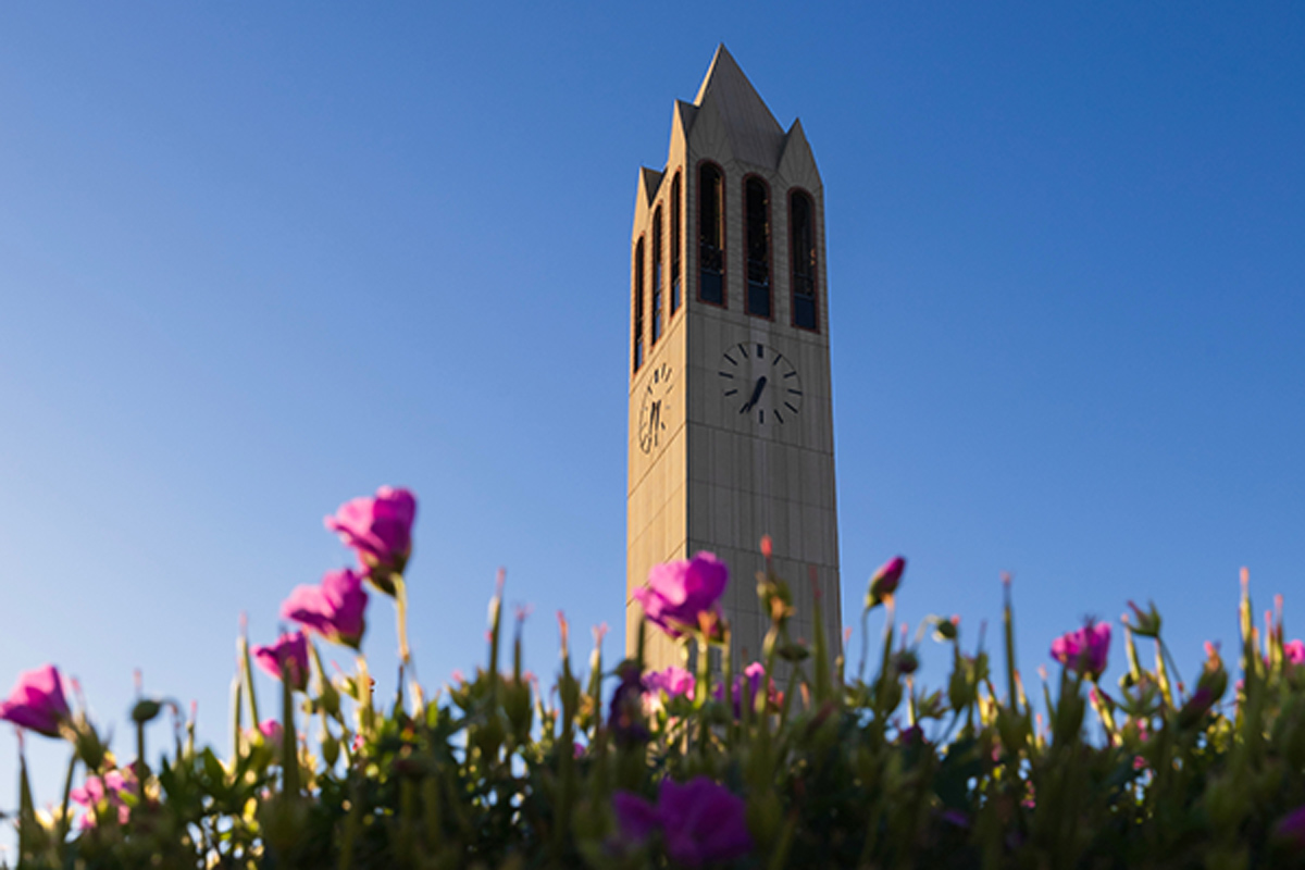 The Campanile at sunrise with flowers