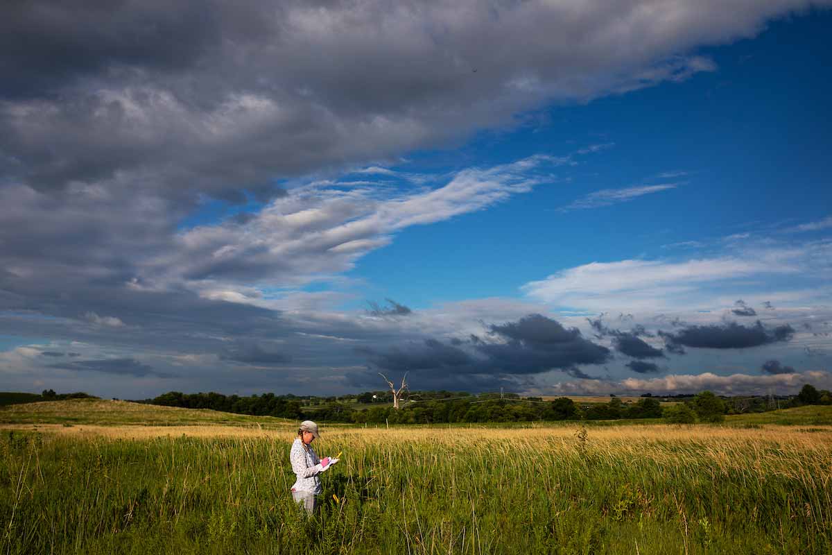 A woman writes on her clipboard while standing in a field of tall green and gold grass, with a bright blue sky with gray clouds above. 