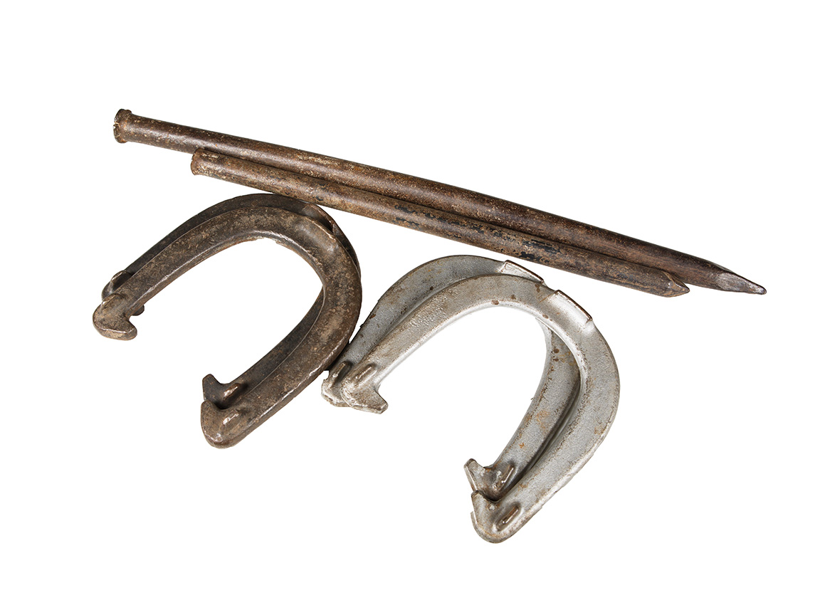horseshoes